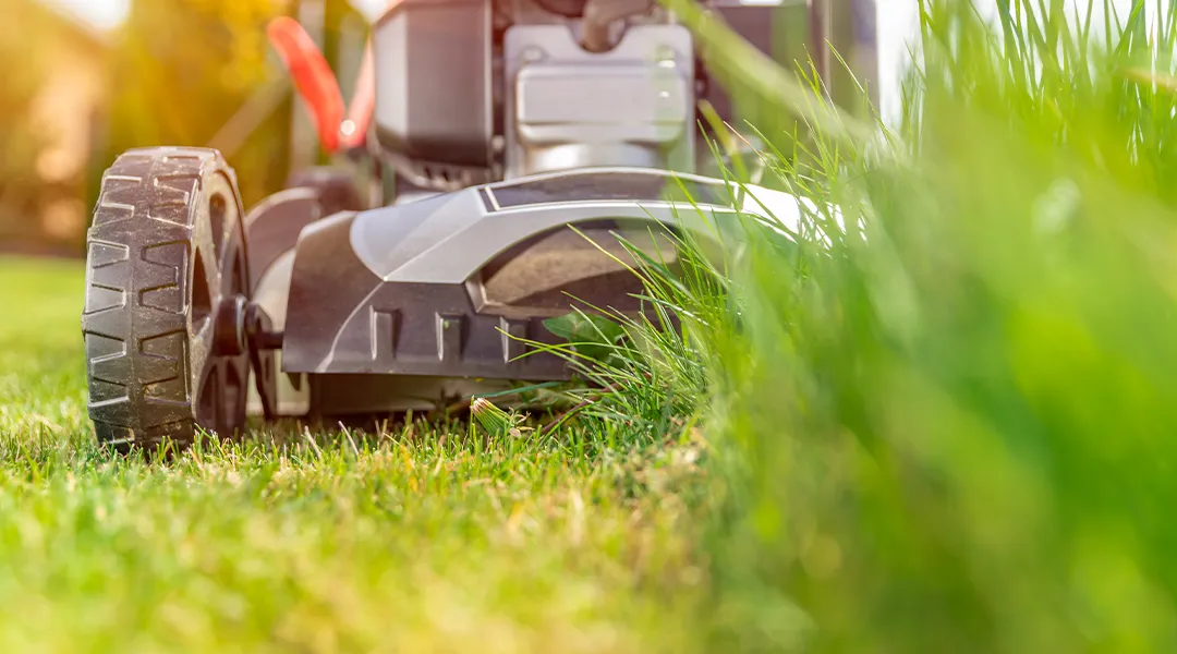 Grass Cutting in Birmingham 2